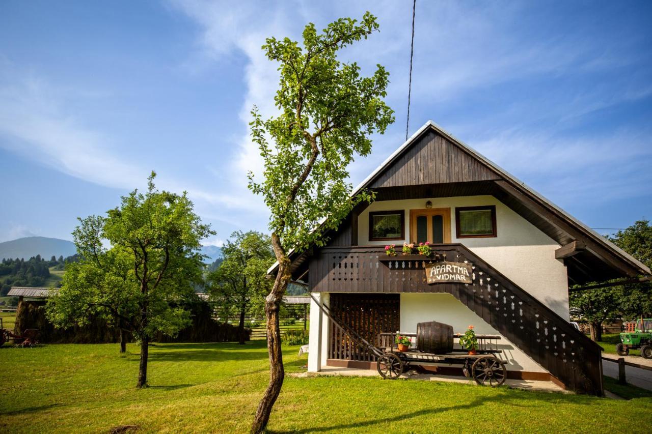 Apartman Vidmar *